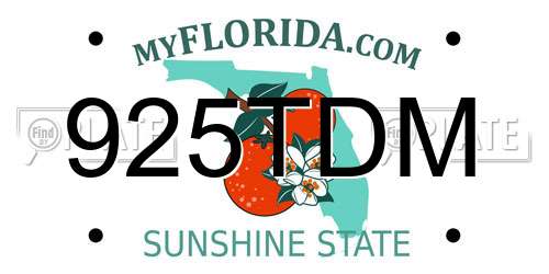 925TDM Florida License Plate