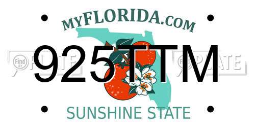 925TTM Florida License Plate