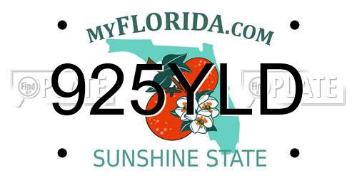 925YLD Florida License Plate