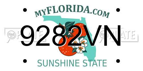 9282VN Florida License Plate