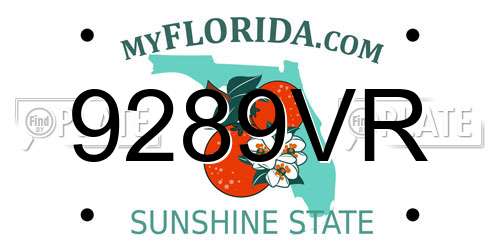 9289VR Florida License Plate