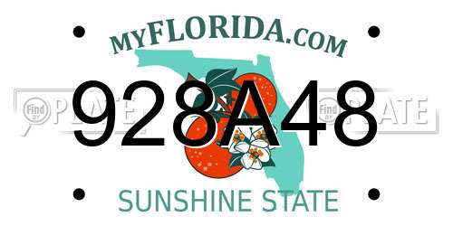 928A48 Florida License Plate