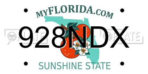 928NDX Florida License Plate