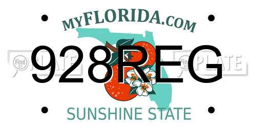 928REG Florida License Plate