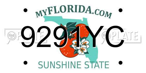9291YC Florida License Plate