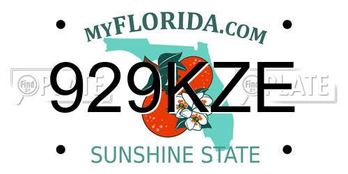 929KZE Florida License Plate