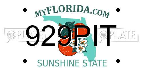 929PIT Florida License Plate