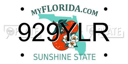 929YLR Florida License Plate