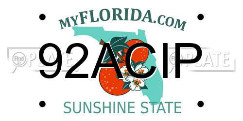 92ACIP Florida License Plate