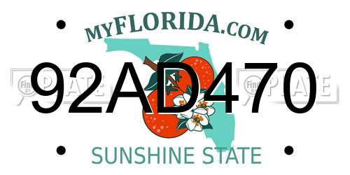 92AD470 Florida License Plate