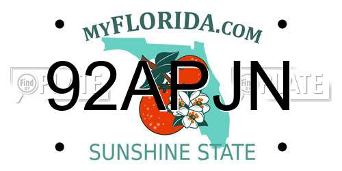 92APJN Florida License Plate