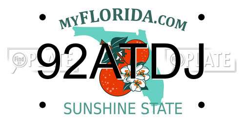 92ATDJ Florida License Plate