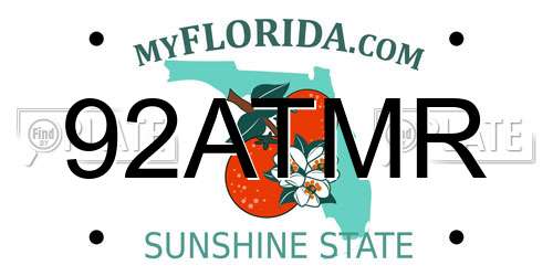 92ATMR Florida License Plate