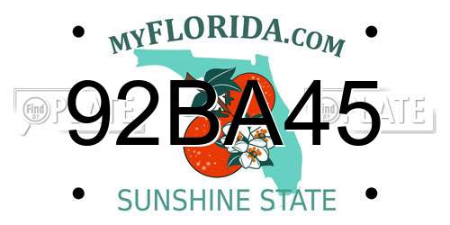 92BA45 Florida License Plate