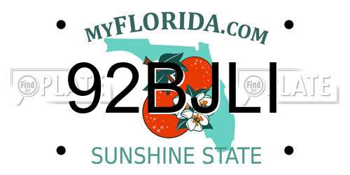 92BJLI Florida License Plate