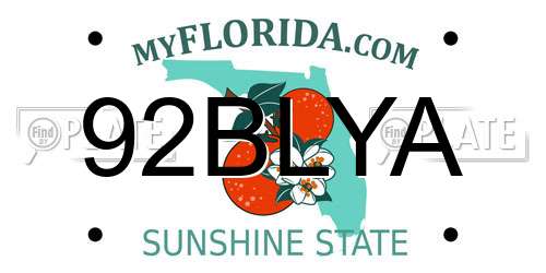 92BLYA Florida License Plate