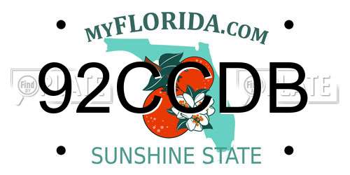 92CCDB Florida License Plate