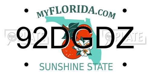 92DGDZ Florida License Plate