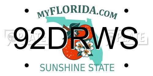 92DRWS Florida License Plate