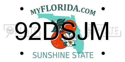 92DSJM Florida License Plate