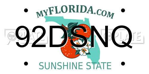 92DSNQ Florida License Plate