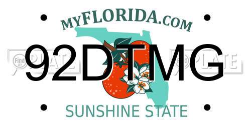 92DTMG Florida License Plate
