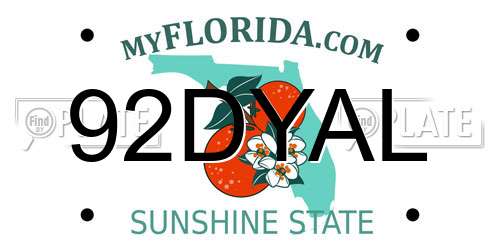 92DYAL Florida License Plate