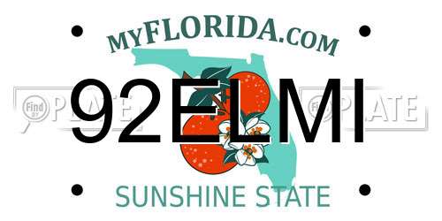 92ELMI Florida License Plate