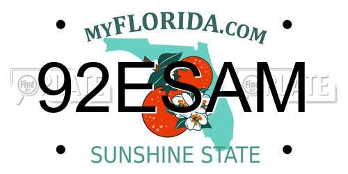 92ESAM Florida License Plate
