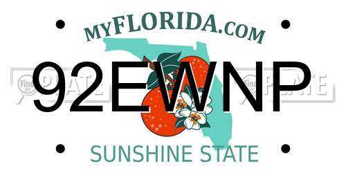 92EWNP Florida License Plate