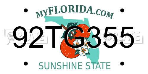 92TG355 Florida License Plate