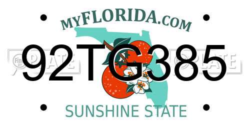 92TG385 Florida License Plate