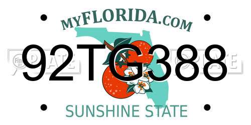 92TG388 Florida License Plate