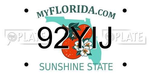 92YIJ Florida License Plate