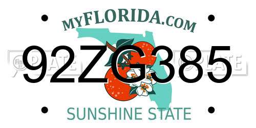 92ZG385 Florida License Plate