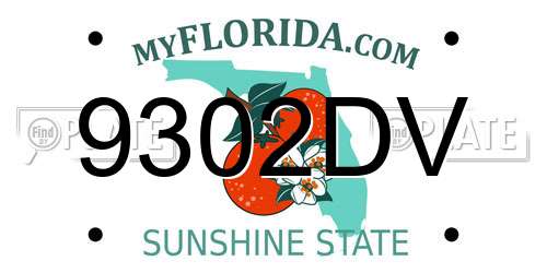 9302DV Florida License Plate