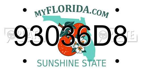 93036D8 Florida License Plate