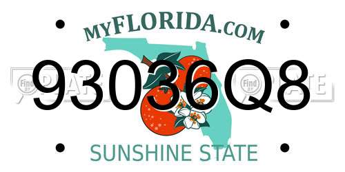 93036Q8 Florida License Plate