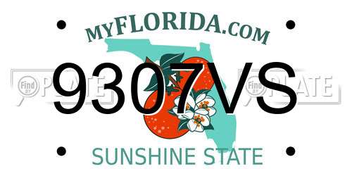 9307VS Florida License Plate