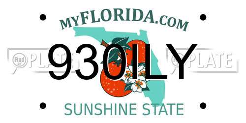 930ILY Florida License Plate