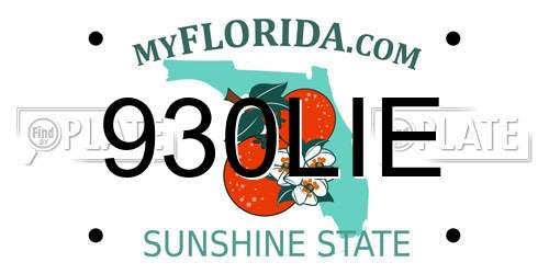 930LIE Florida License Plate