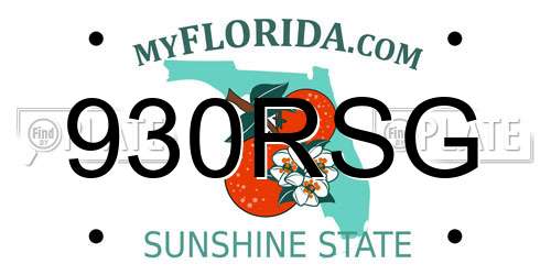 930RSG Florida License Plate