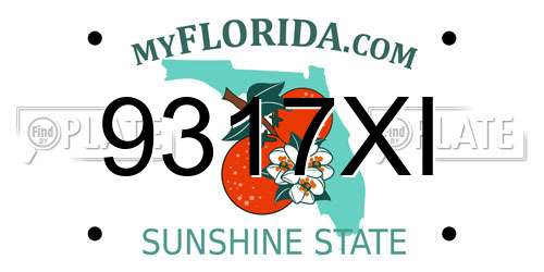 9317XI Florida License Plate
