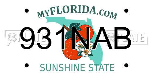 931NAB Florida License Plate