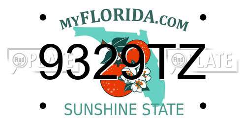 9329TZ Florida License Plate