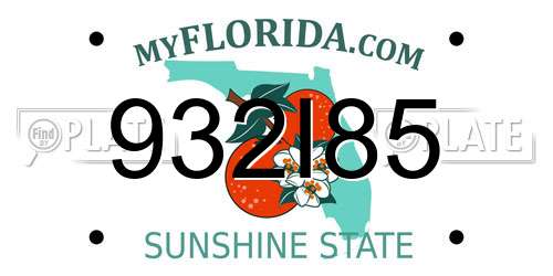 932I85 Florida License Plate