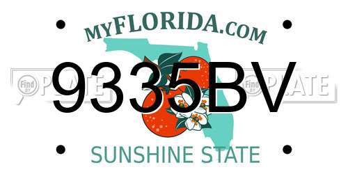 9335BV Florida License Plate