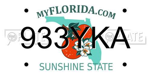 933YKA Florida License Plate