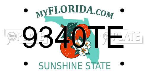 9340TE Florida License Plate