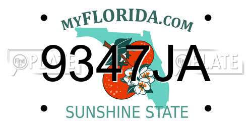 9347JA Florida License Plate